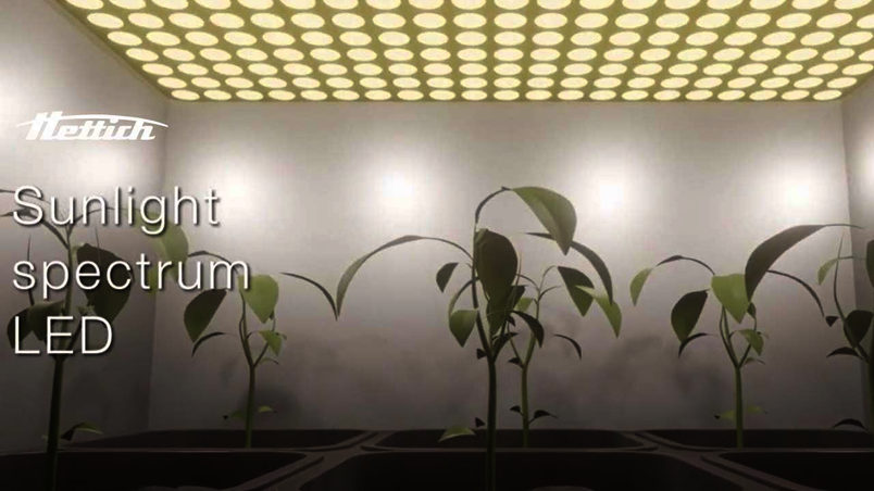 Plant Research Cabinets Hettich Benelux